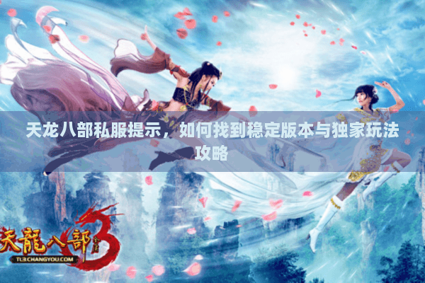 天龙八部私服提示，如何找到稳定版本与独家玩法攻略