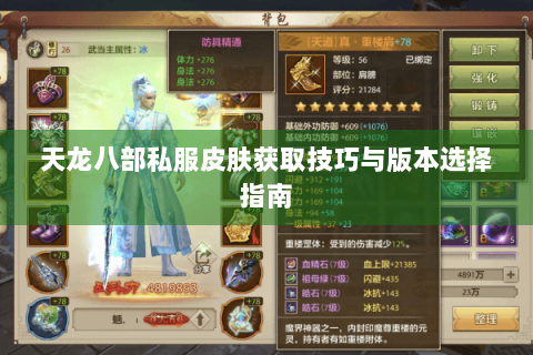 天龙八部私服皮肤获取技巧与版本选择指南