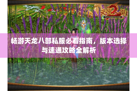 畅游天龙八部私服必看指南，版本选择与速通攻略全解析