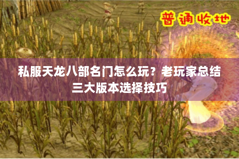 私服天龙八部名门怎么玩？老玩家总结三大版本选择技巧