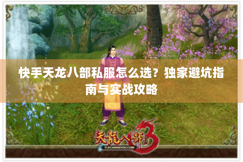 快手天龙八部私服怎么选？独家避坑指南与实战攻略