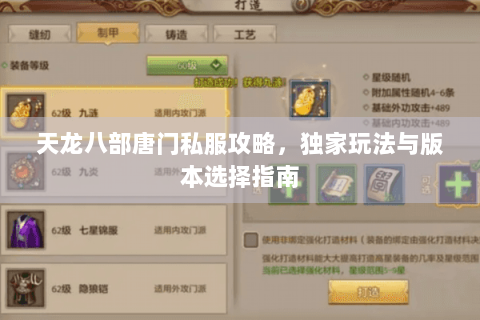 天龙八部唐门私服攻略，独家玩法与版本选择指南