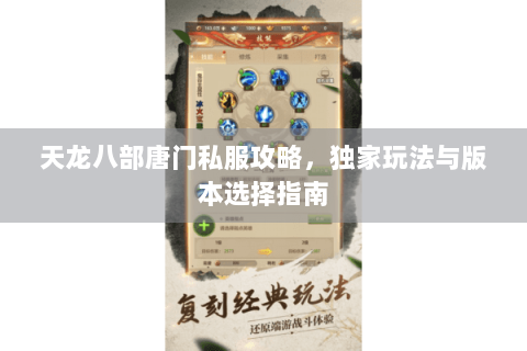 天龙八部唐门私服攻略，独家玩法与版本选择指南