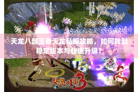 天龙八部王者天龙私服攻略，如何找到稳定版本与快速升级？