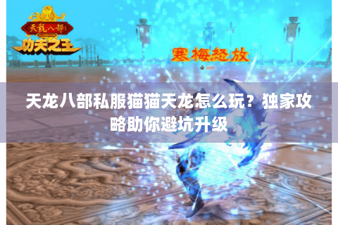 天龙八部私服猫猫天龙怎么玩？独家攻略助你避坑升级