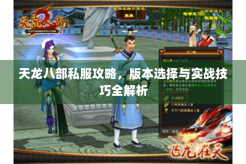 天龙八部私服攻略，版本选择与实战技巧全解析