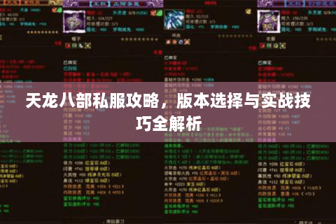 天龙八部私服攻略，版本选择与实战技巧全解析
