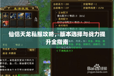 仙侣天龙私服攻略，版本选择与战力提升全指南