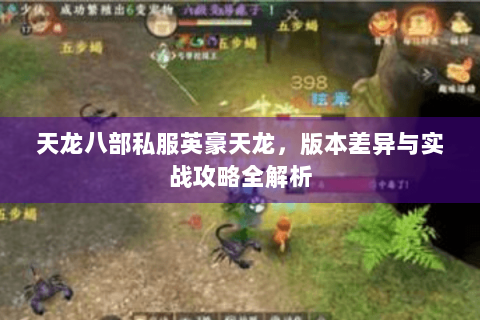 天龙八部私服英豪天龙，版本差异与实战攻略全解析