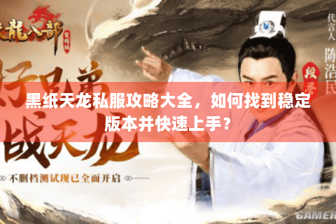 黑纸天龙私服攻略大全，如何找到稳定版本并快速上手？