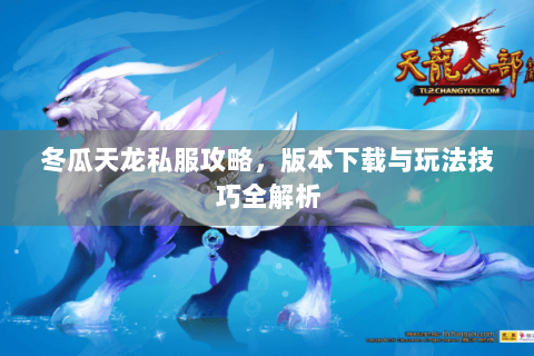 冬瓜天龙私服攻略，版本下载与玩法技巧全解析