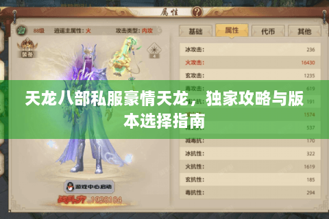 天龙八部私服豪情天龙，独家攻略与版本选择指南