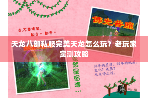 天龙八部私服完美天龙怎么玩？老玩家实测攻略
