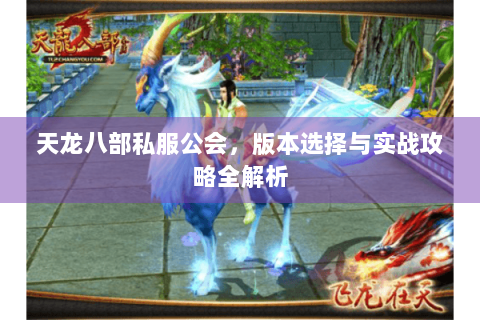 天龙八部私服公会，版本选择与实战攻略全解析
