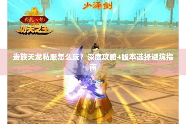 贵族天龙私服怎么玩？深度攻略+版本选择避坑指南