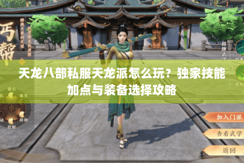 天龙八部私服天龙派怎么玩？独家技能加点与装备选择攻略