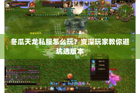 冬瓜天龙私服怎么玩？资深玩家教你避坑选版本