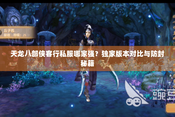 天龙八部侠客行私服哪家强？独家版本对比与防封秘籍