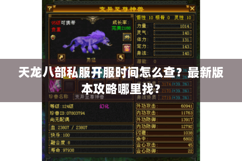 天龙八部私服开服时间怎么查?最新版本攻略哪里找? 天龙八部私服开服时间怎么查?最新版本攻略哪里找?