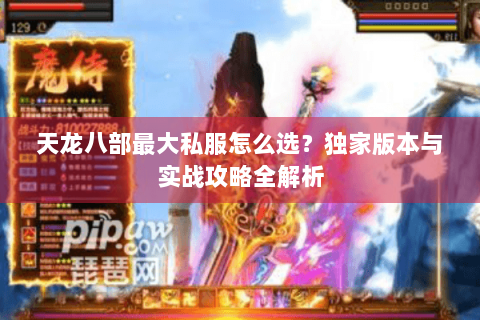 天龙八部最大私服怎么选？独家版本与实战攻略全解析