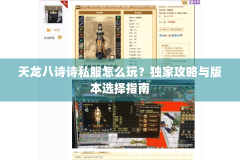 天龙八诗诗私服怎么玩？独家攻略与版本选择指南