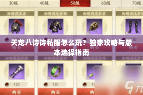 天龙八诗诗私服怎么玩？独家攻略与版本选择指南