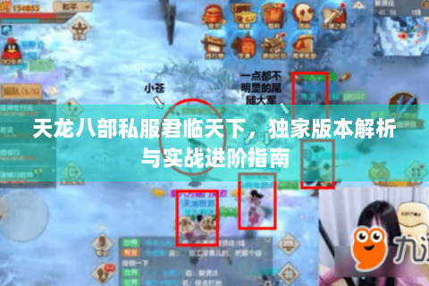 天龙八部私服君临天下，独家版本解析与实战进阶指南