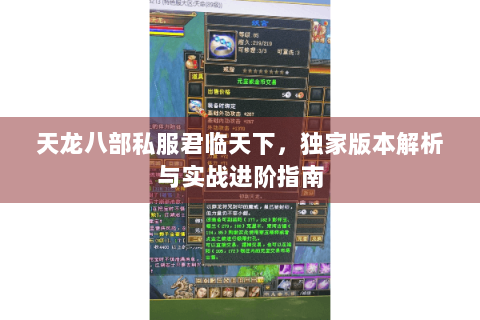 天龙八部私服君临天下，独家版本解析与实战进阶指南
