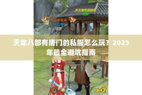 天龙八部有唐门的私服怎么玩？2023年最全避坑指南