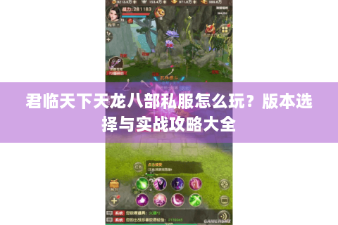 君临天下天龙八部私服怎么玩？版本选择与实战攻略大全