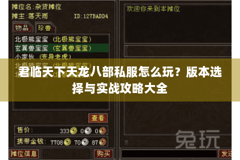 君临天下天龙八部私服怎么玩？版本选择与实战攻略大全