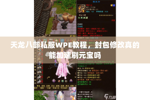 天龙八部私服WPE教程，封包修改真的能加速刷元宝吗