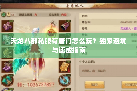 天龙八部私服有唐门怎么玩？独家避坑与速成指南