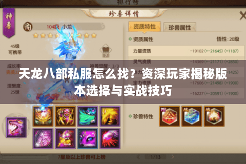 天龙八部私服怎么找？资深玩家揭秘版本选择与实战技巧