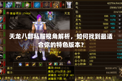 天龙八部私服视角解析，如何找到最适合你的特色版本？