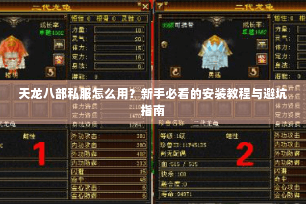 天龙八部私服怎么用？新手必看的安装教程与避坑指南