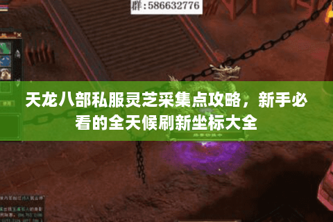 天龙八部私服灵芝采集点攻略，新手必看的全天候刷新坐标大全