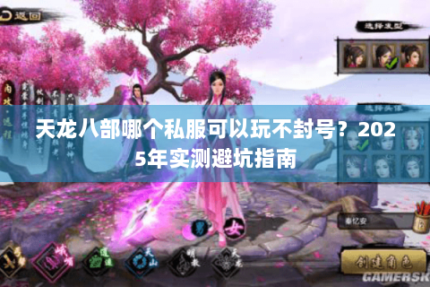 天龙八部哪个私服可以玩不封号？2025年实测避坑指南