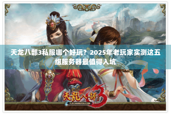 天龙八部3私服哪个好玩？2025年老玩家实测这五组服务器最值得入坑