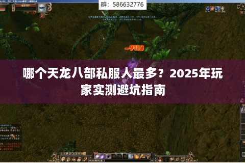 哪个天龙八部私服人最多？2025年玩家实测避坑指南