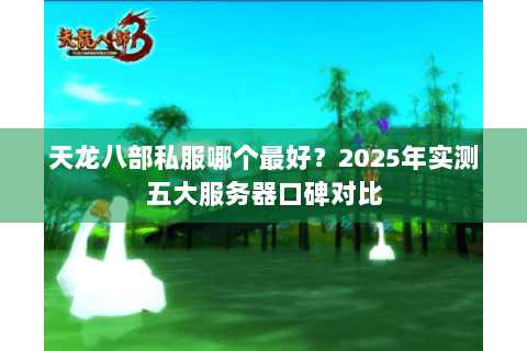 天龙八部私服哪个最好？2025年实测五大服务器口碑对比