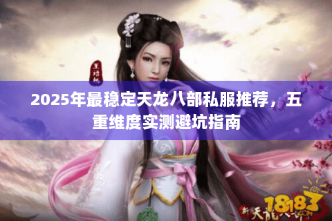 2025年最稳定天龙八部私服推荐，五重维度实测避坑指南