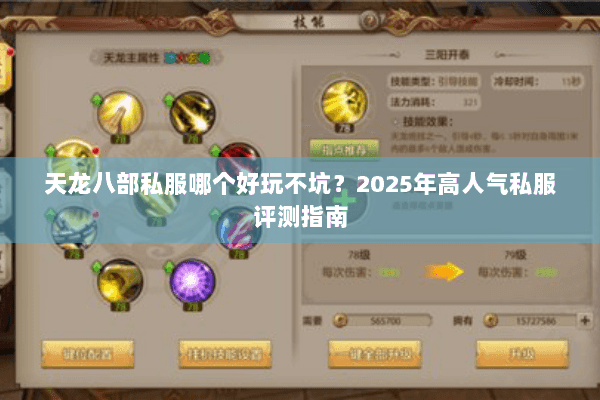 天龙八部私服哪个好玩不坑？2025年高人气私服评测指南