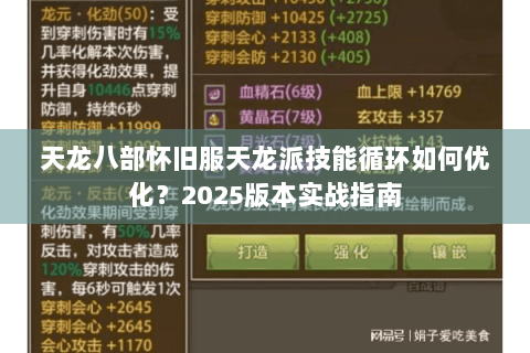 天龙八部怀旧服天龙派技能循环如何优化？2025版本实战指南