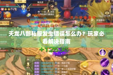 天龙八部私服发生错误怎么办？玩家必看解决指南