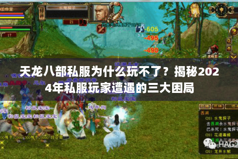 天龙八部私服为什么玩不了？揭秘2024年私服玩家遭遇的三大困局