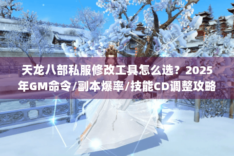 天龙八部私服修改工具怎么选？2025年GM命令/副本爆率/技能CD调整攻略