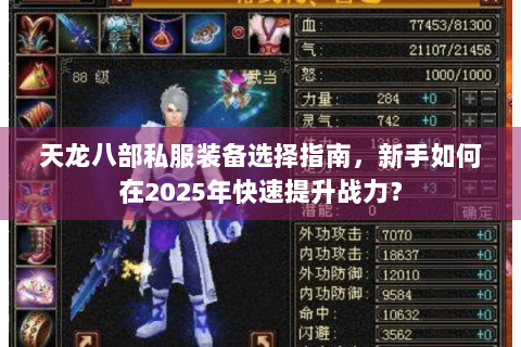 天龙八部私服装备选择指南，新手如何在2025年快速提升战力？