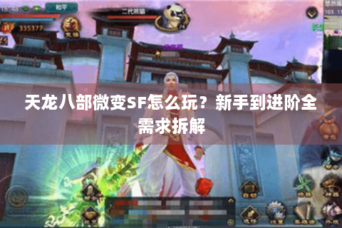 天龙八部微变SF怎么玩？新手到进阶全需求拆解