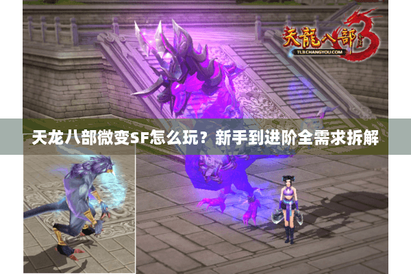 天龙八部微变SF怎么玩？新手到进阶全需求拆解